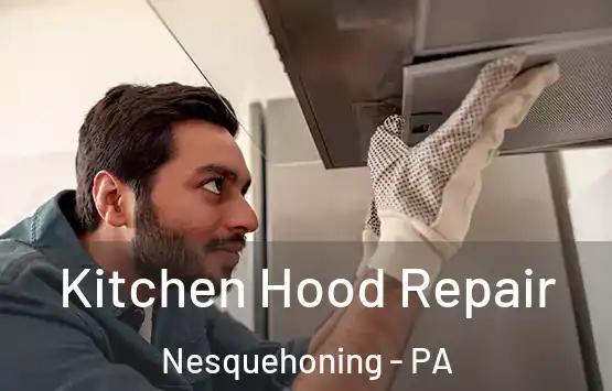  Kitchen Hood Repair Nesquehoning - PA