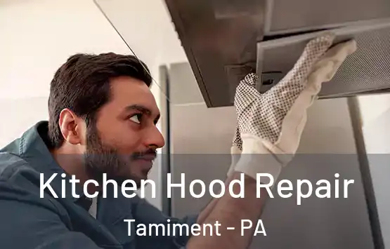  Kitchen Hood Repair Tamiment - PA