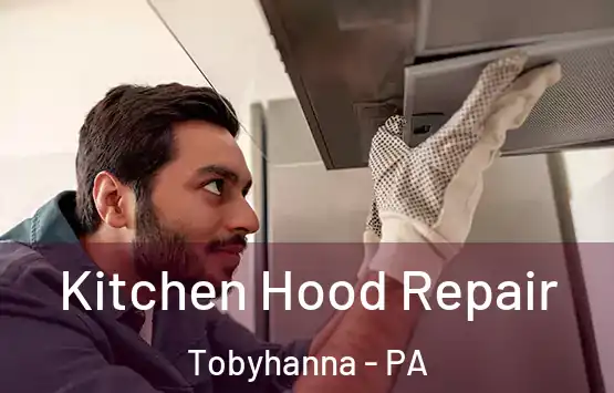  Kitchen Hood Repair Tobyhanna - PA