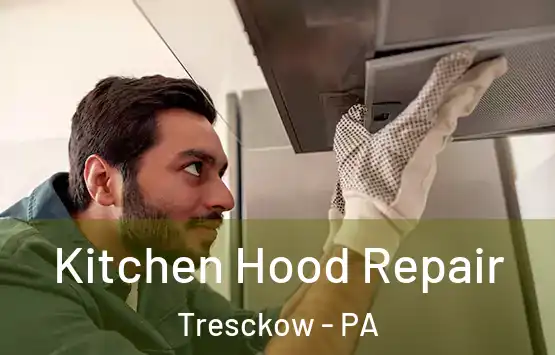  Kitchen Hood Repair Tresckow - PA