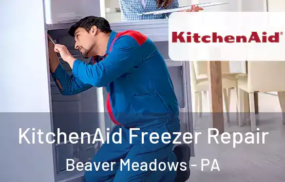  KitchenAid Freezer Repair Beaver Meadows - PA