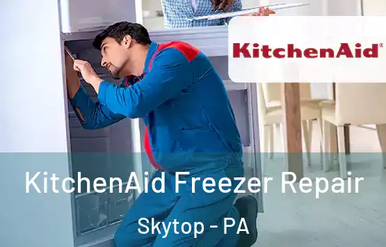 KitchenAid Freezer Repair Skytop - PA