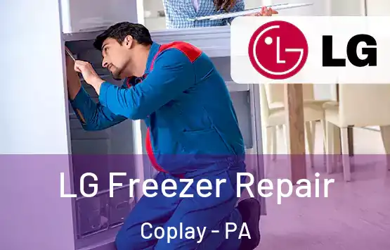  LG Freezer Repair Coplay - PA
