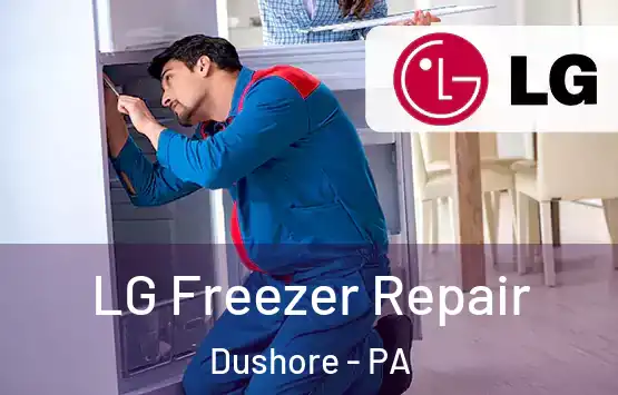  LG Freezer Repair Dushore - PA
