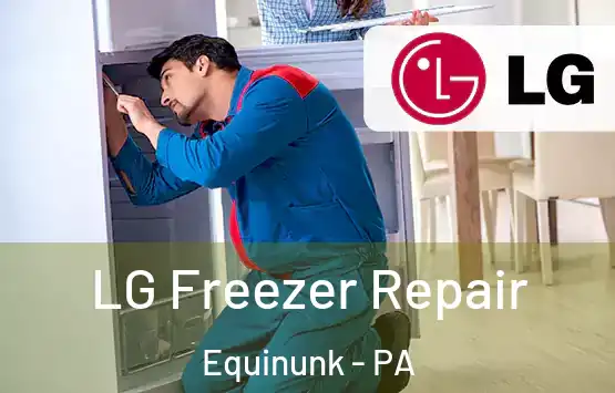  LG Freezer Repair Equinunk - PA