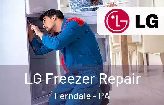  LG Freezer Repair Ferndale - PA