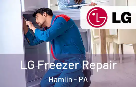  LG Freezer Repair Hamlin - PA