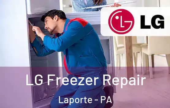  LG Freezer Repair Laporte - PA