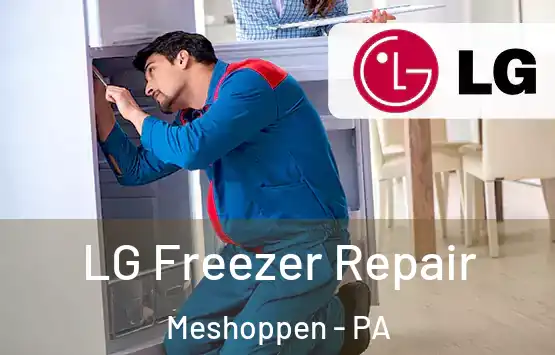  LG Freezer Repair Meshoppen - PA