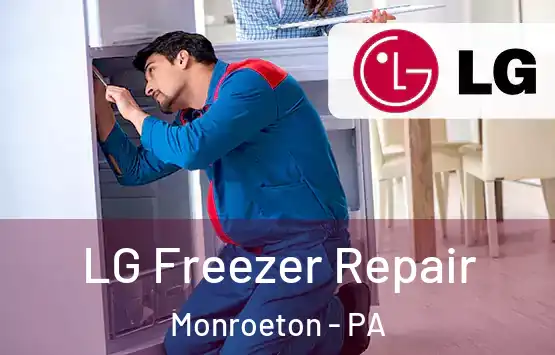  LG Freezer Repair Monroeton - PA