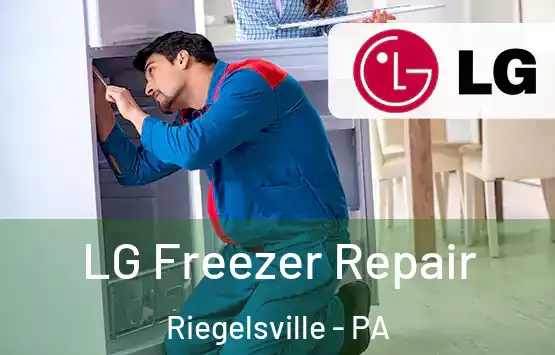  LG Freezer Repair Riegelsville - PA