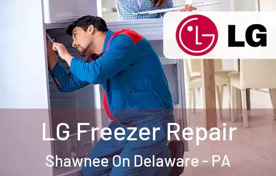  LG Freezer Repair Shawnee On Delaware - PA