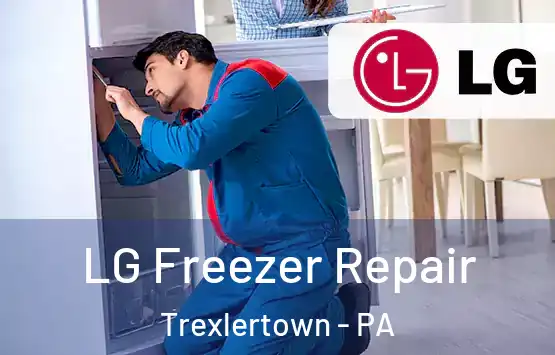  LG Freezer Repair Trexlertown - PA