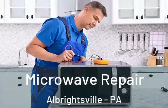  Microwave Repair Albrightsville - PA
