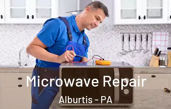  Microwave Repair Alburtis - PA