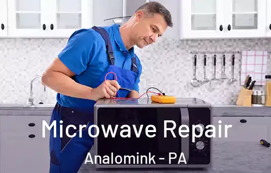  Microwave Repair Analomink - PA