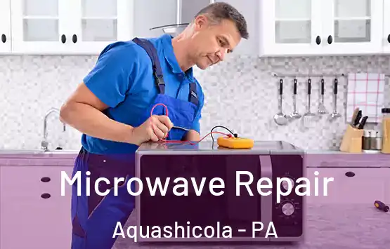  Microwave Repair Aquashicola - PA