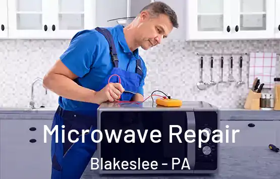  Microwave Repair Blakeslee - PA