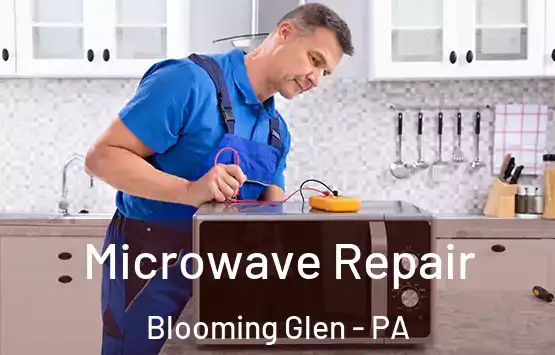  Microwave Repair Blooming Glen - PA