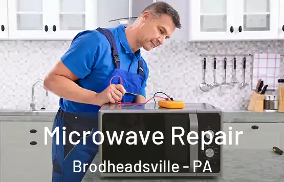  Microwave Repair Brodheadsville - PA