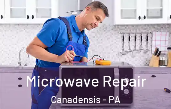  Microwave Repair Canadensis - PA
