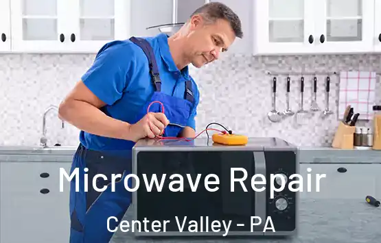  Microwave Repair Center Valley - PA