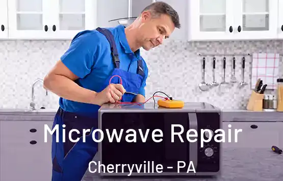  Microwave Repair Cherryville - PA