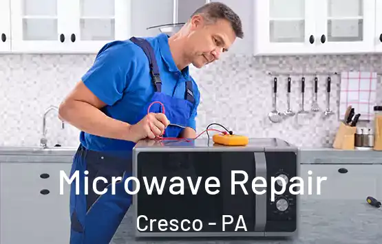  Microwave Repair Cresco - PA