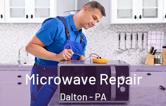  Microwave Repair Dalton - PA