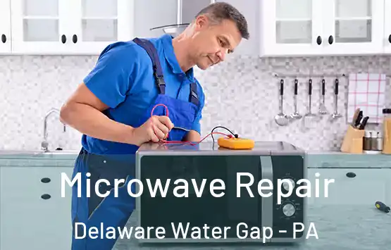  Microwave Repair Delaware Water Gap - PA