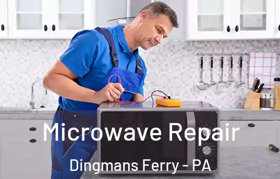  Microwave Repair Dingmans Ferry - PA