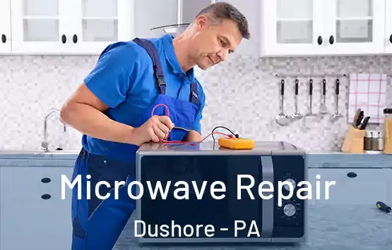  Microwave Repair Dushore - PA