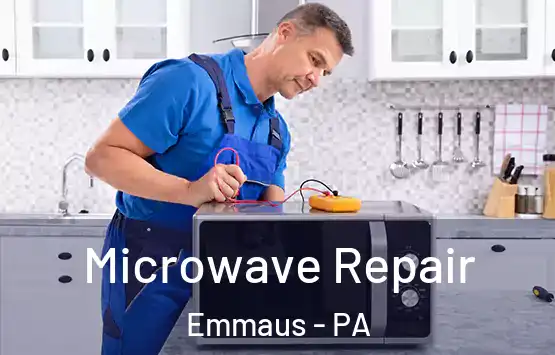  Microwave Repair Emmaus - PA