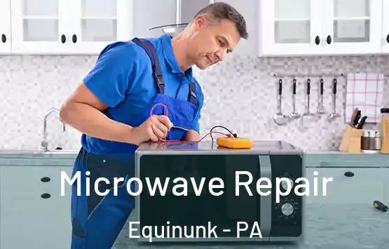  Microwave Repair Equinunk - PA