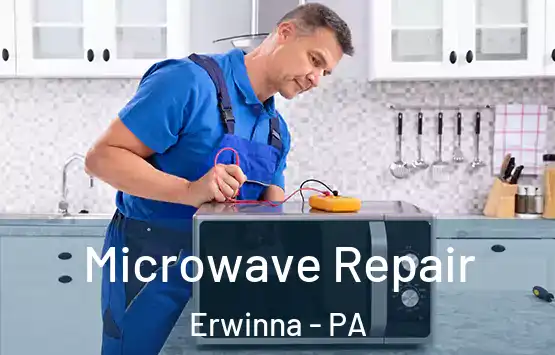  Microwave Repair Erwinna - PA