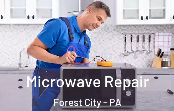  Microwave Repair Forest City - PA