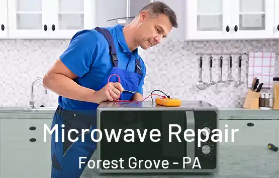  Microwave Repair Forest Grove - PA