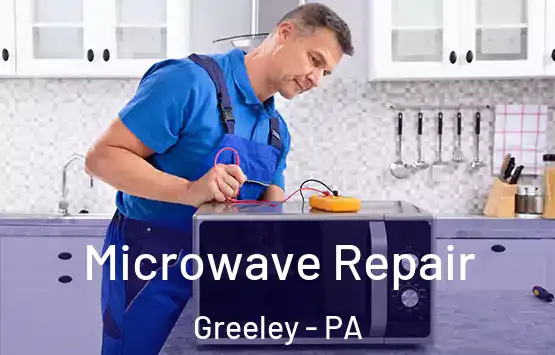  Microwave Repair Greeley - PA