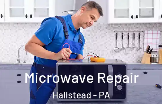  Microwave Repair Hallstead - PA