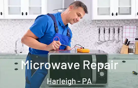  Microwave Repair Harleigh - PA