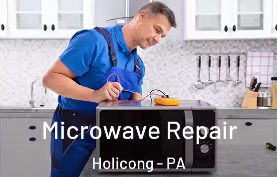  Microwave Repair Holicong - PA