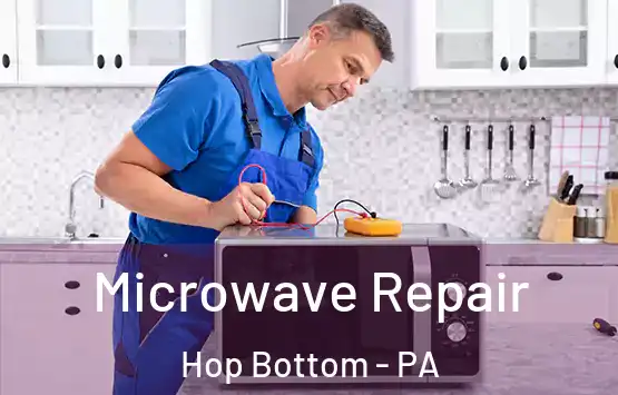  Microwave Repair Hop Bottom - PA