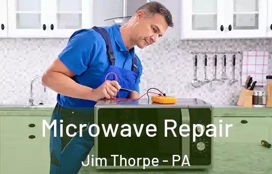  Microwave Repair Jim Thorpe - PA