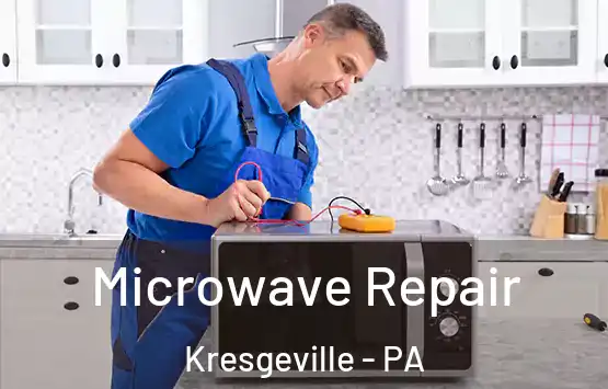  Microwave Repair Kresgeville - PA