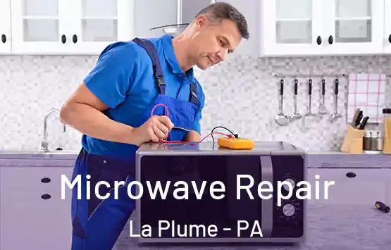  Microwave Repair La Plume - PA