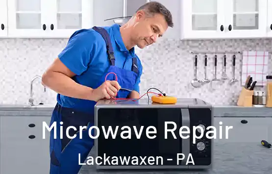  Microwave Repair Lackawaxen - PA