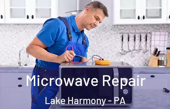  Microwave Repair Lake Harmony - PA