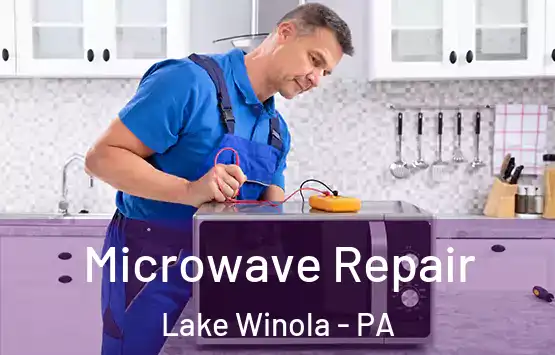  Microwave Repair Lake Winola - PA