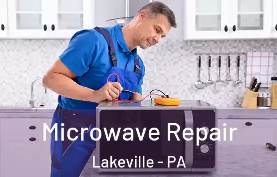  Microwave Repair Lakeville - PA