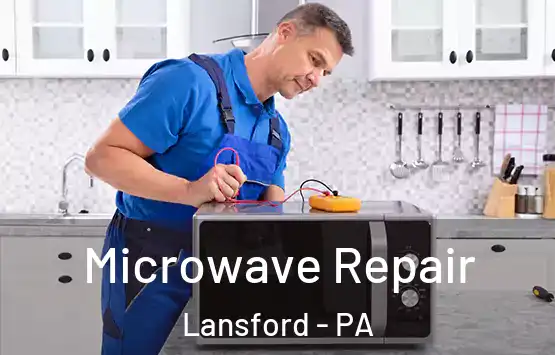  Microwave Repair Lansford - PA